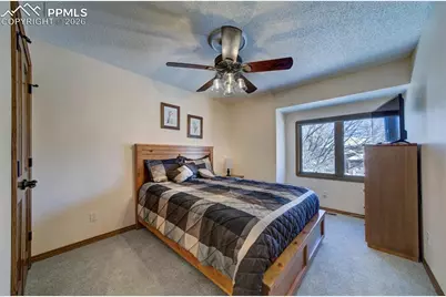 6715 Ashley Drive, Colorado Springs, CO 80922 - Photo 25