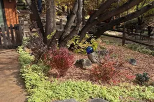 9 Swallow Dr, Colorado Springs, CO 80904 - Photo 39