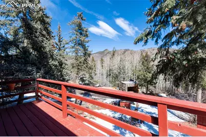 9735 Mountain Road, Cascade, CO 80809 - Photo 13