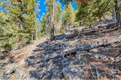 0 Elsie Road, Conifer, CO 80433 - Photo 13