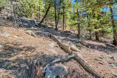 0 Elsie Road, Conifer, CO 80433 - Photo 17