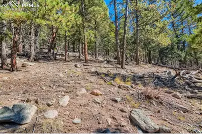 0 Elsie Road, Conifer, CO 80433 - Photo 7
