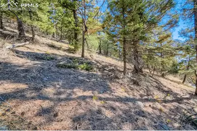 0 Elsie Road, Conifer, CO 80433 - Photo 25