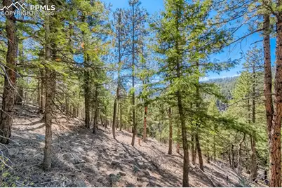 0 Elsie Road, Conifer, CO 80433 - Photo 9