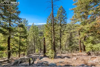 0 Elsie Road, Conifer, CO 80433 - Photo 15