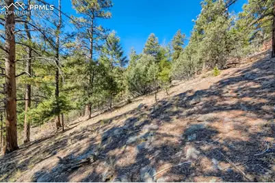 0 Elsie Road, Conifer, CO 80433 - Photo 5