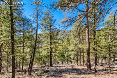 0 Elsie Road, Conifer, CO 80433 - Photo 11