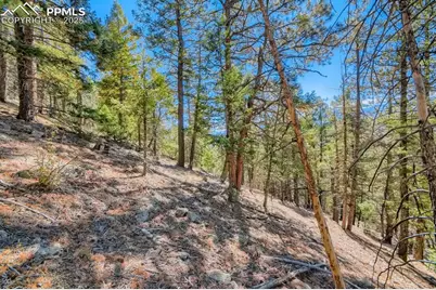 0 Elsie Road, Conifer, CO 80433 - Photo 23