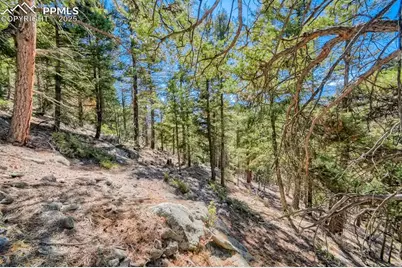 0 Elsie Road, Conifer, CO 80433 - Photo 21
