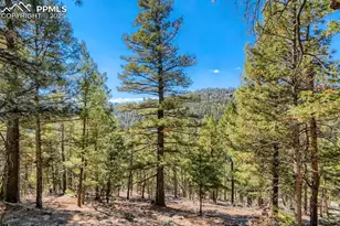 0 Elsie Rd, Conifer, CO 80433 - Photo 1