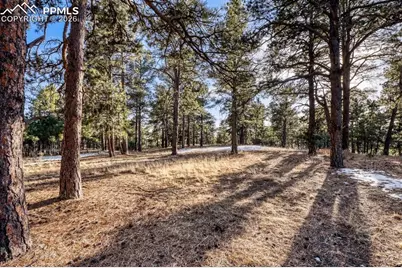 18225 Cumbres Court, Peyton, CO 80831 - Photo 49