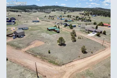 333 Golden Grain Lane, Divide, CO 80814 - Photo 3