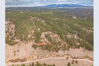 1736 Wildhorn Road, Florissant, CO 80816 - Photo 41