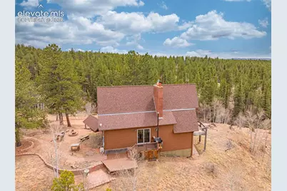1736 County Road 3 Road, Florissant, CO 80816 - Photo 47