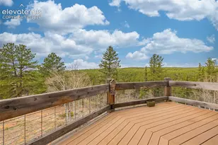 1736 County Road 3 Rd, Florissant, CO 80816 - Photo 19