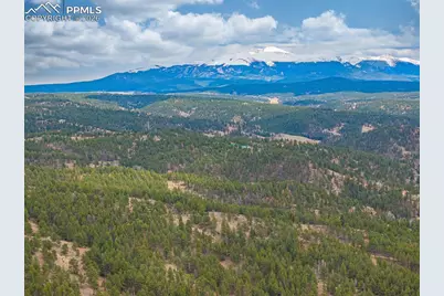 1736 Wildhorn Road, Florissant, CO 80816 - Photo 39