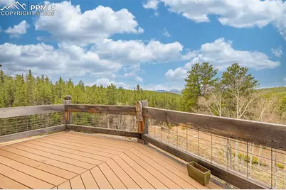 1736 Wildhorn Road, Florissant, CO 80816 - Photo 17