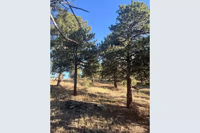 1234 Edelweiss Drive, Westcliffe, CO 81252 - Photo 23