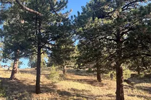 1234 Edelweiss Dr, Westcliffe, CO 81252 - Photo 23