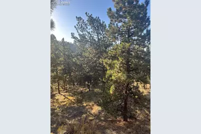 1234 Edelweiss Drive, Westcliffe, CO 81252 - Photo 25