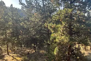 1234 Edelweiss Dr, Westcliffe, CO 81252 - Photo 25