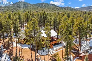 1230 Woodland Valley Ranch Dr, Woodland Park, CO 80863 - Photo 43