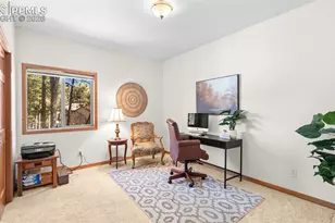 1230 Woodland Valley Ranch Dr, Woodland Park, CO 80863 - Photo 23