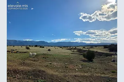 8650 Highway 67, Florence, CO 81226 - Photo 9
