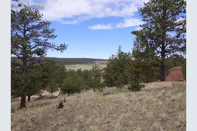 28 Pinnacle Circle, Florissant, CO 80816 - Photo 7