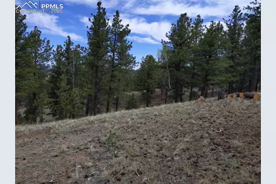 28 Pinnacle Circle, Florissant, CO 80816 - Photo 11