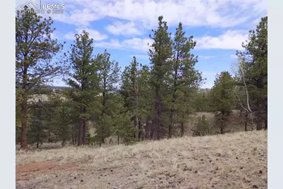 28 Pinnacle Circle, Florissant, CO 80816 - Photo 5