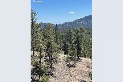 28 Pinnacle Circle, Florissant, CO 80816 - Photo 13