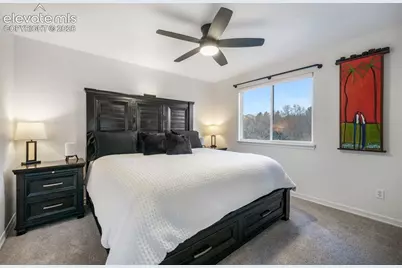 556 Coyote Willow Drive, Colorado Springs, CO 80921 - Photo 37