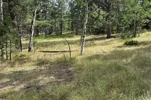 17 and 33 Deer Ridge Trail, Florissant, CO 80816 - Photo 1