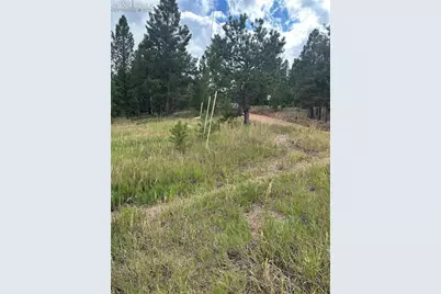 17 and 33 Deer Ridge Trail, Florissant, CO 80816 - Photo 5