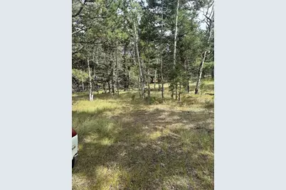17 and 33 Deer Ridge Trail, Florissant, CO 80816 - Photo 7