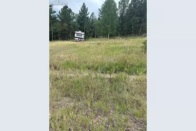 17 and 33 Deer Ridge Trail, Florissant, CO 80816 - Photo 3