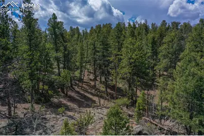 487 Pike View Lane, Florissant, CO 80816 - Photo 13