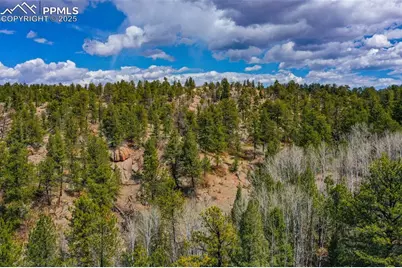 487 Pike View Lane, Florissant, CO 80816 - Photo 31