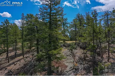 487 Pike View Lane, Florissant, CO 80816 - Photo 17