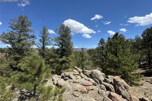 487 Pike Vw Ln, Florissant, CO 80816 - Photo 1