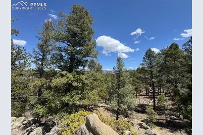 487 Pike View Lane, Florissant, CO 80816 - Photo 39