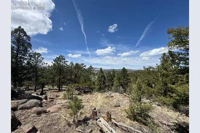 487 Pike View Lane, Florissant, CO 80816 - Photo 5