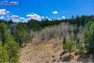 487 Pike View Lane, Florissant, CO 80816 - Photo 11
