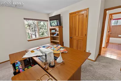 595 Bird Point Road, Florissant, CO 80816 - Photo 13