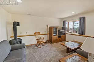 595 Bird Point Rd, Florissant, CO 80816 - Photo 19