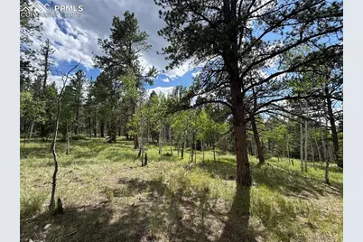 117 Vagabond Creek Terrace, Lake George, CO 80827 - Photo 9