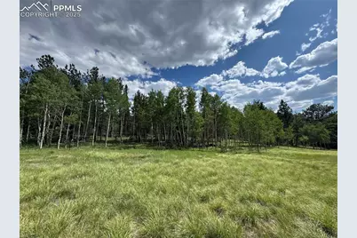 117 Vagabond Creek Terrace, Lake George, CO 80827 - Photo 3