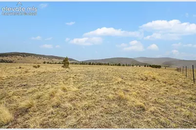 Tbd Ranger Station Road, Florissant, CO 80846 - Photo 11