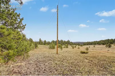 Tbd Ranger Station Road, Florissant, CO 80846 - Photo 17